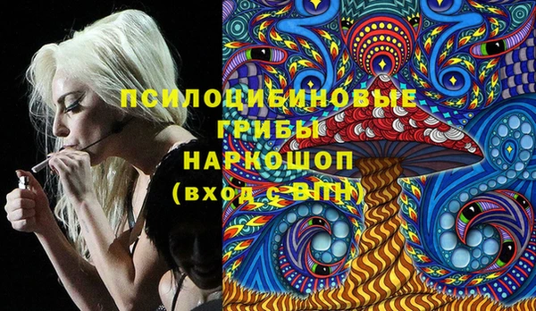 spice Покров